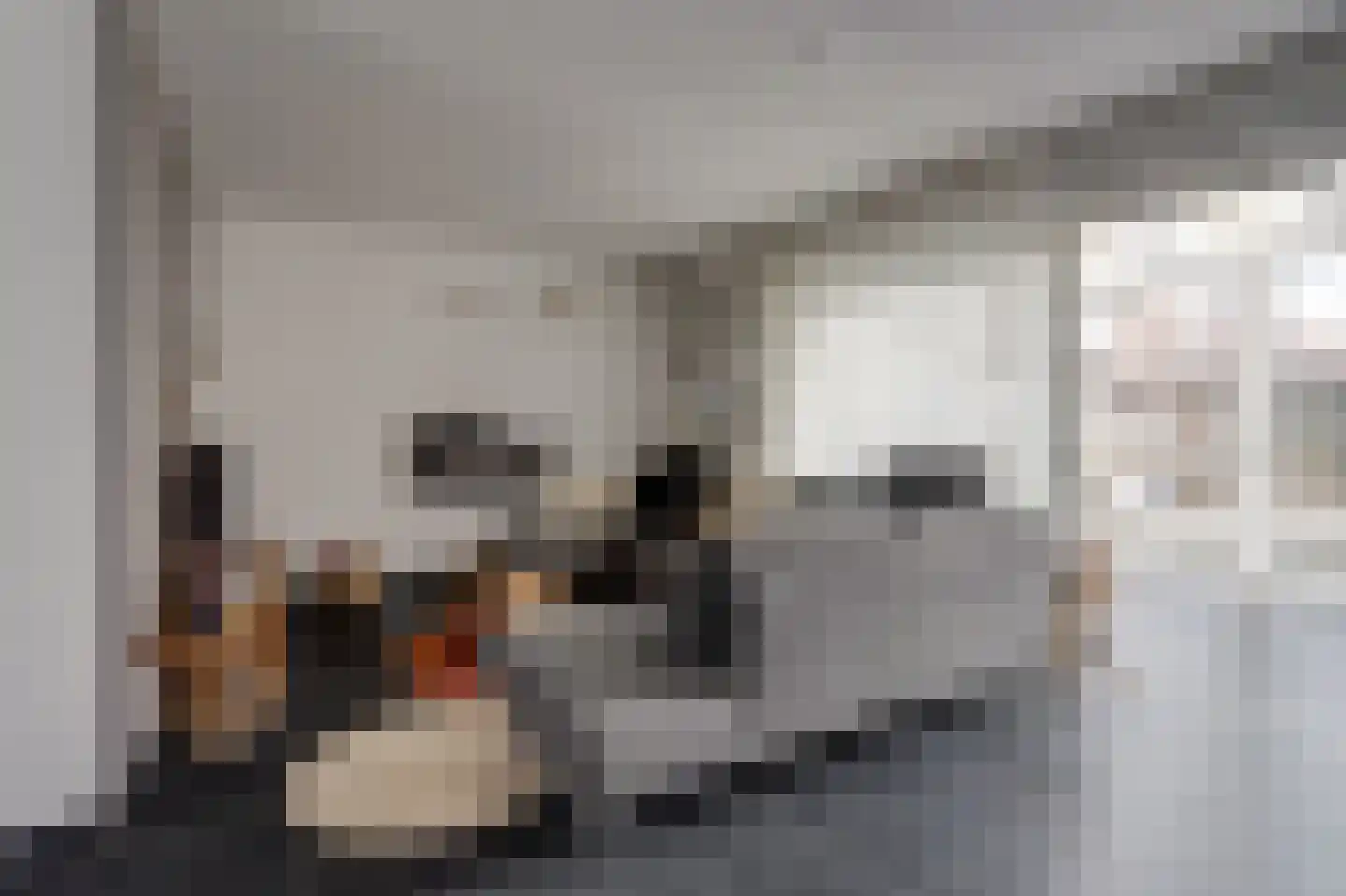 Geerde 58 Waalwijk thumbnail 7