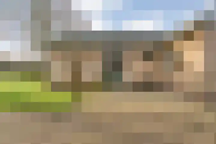 Geerdijk 25 a Vroomshoop thumbnail 11