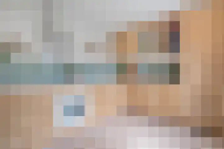 Geerdijk 25 a Vroomshoop thumbnail 28