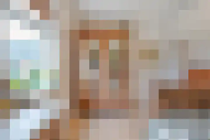 Geerdijk 25 a Vroomshoop thumbnail 38