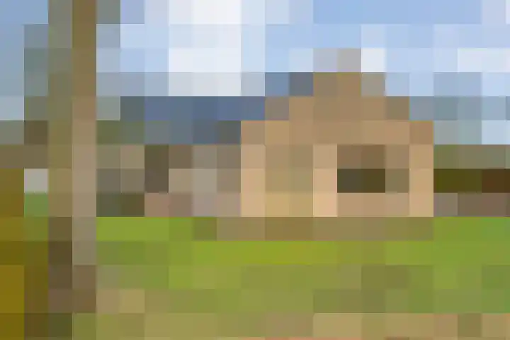 Geerdijk 25 a Vroomshoop thumbnail 4