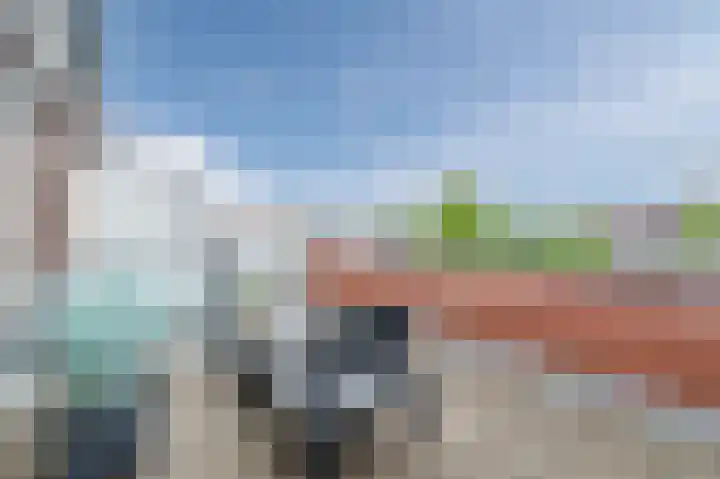 Geerdijk 25 a Vroomshoop thumbnail 41