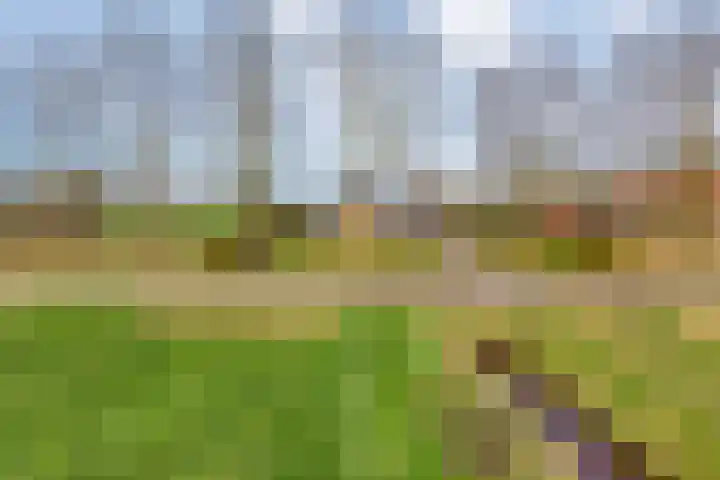 Geerdijk 25 a Vroomshoop thumbnail 49
