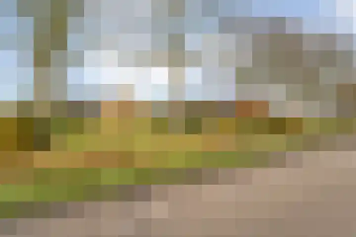 Geerdijk 25 a Vroomshoop thumbnail 50
