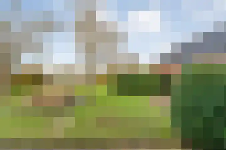 Geerdijk 25 a Vroomshoop thumbnail 57