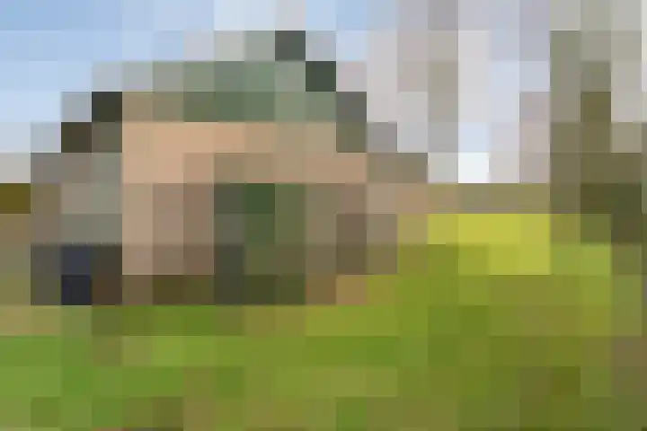 Geerdijk 25 a Vroomshoop thumbnail 58