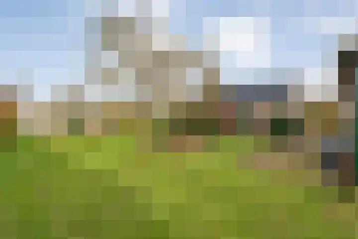 Geerdijk 25 a Vroomshoop thumbnail 59