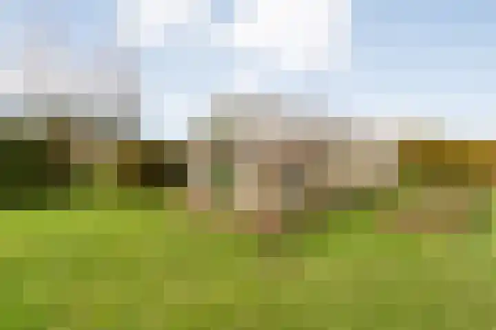 Geerdijk 25 a Vroomshoop thumbnail 60