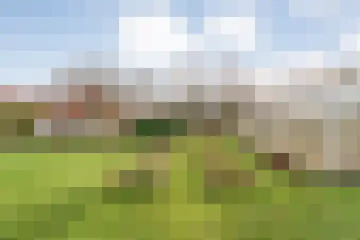 Geerdijk 25 a Vroomshoop thumbnail 65