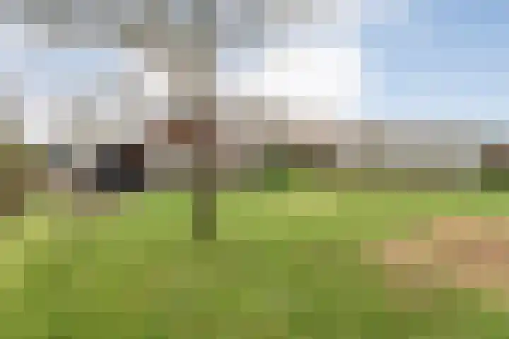 Geerdijk 25 a Vroomshoop thumbnail 66