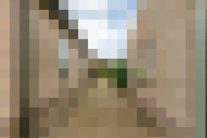 Geerdijk 25 a Vroomshoop thumbnail 69