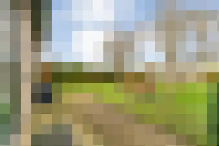 Geerdijk 25 a Vroomshoop thumbnail 71
