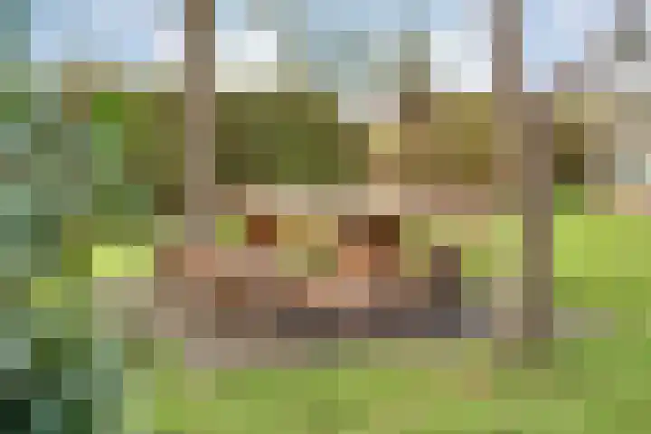 Geerdijk 25 a Vroomshoop thumbnail 72