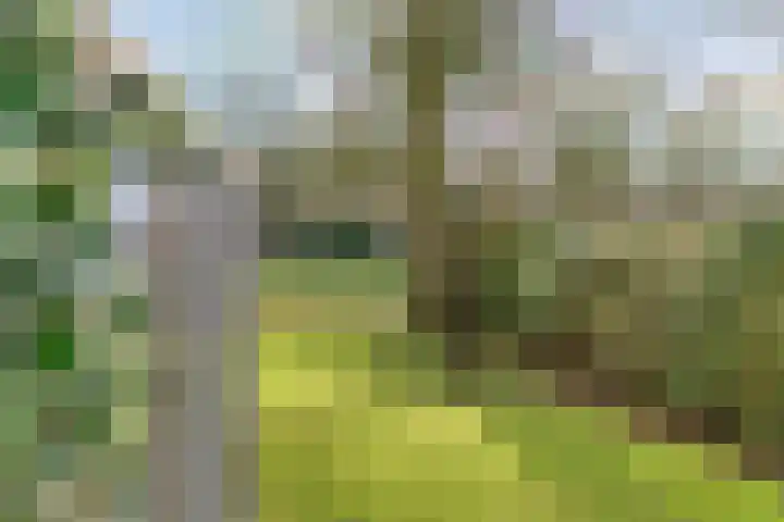 Geerdijk 25 a Vroomshoop thumbnail 74