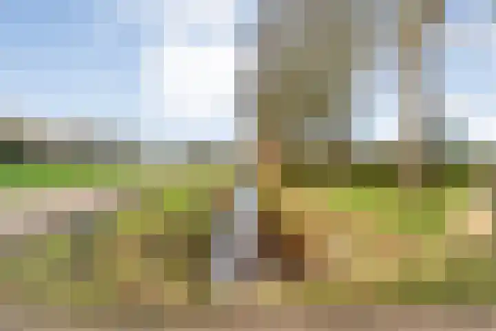 Geerdijk 25 a Vroomshoop thumbnail 77
