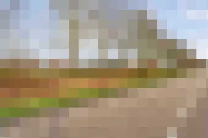 Geerdijk 25 a Vroomshoop thumbnail 79