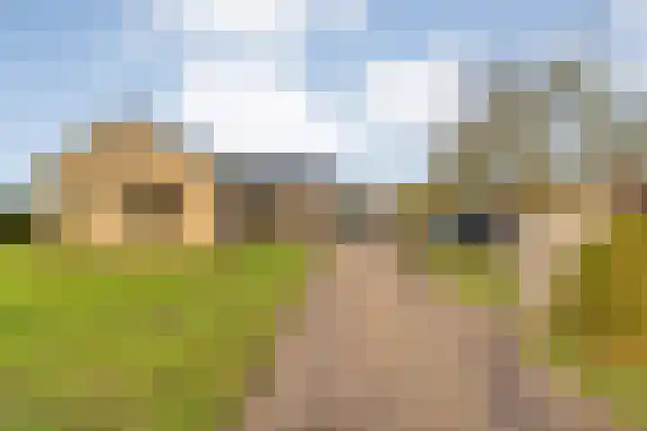 Geerdijk 25 a Vroomshoop thumbnail 8