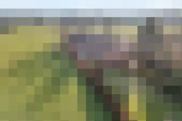 Geerdijk 42 Den Ham foto 3