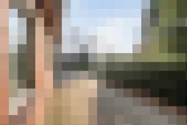 Geerdijk 42 Den Ham thumbnail 39