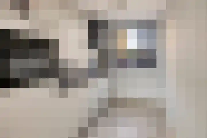 Geerdijk 42 Den Ham thumbnail 4