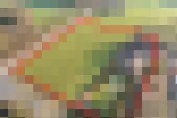 Geerdijk 42 Den Ham thumbnail 5