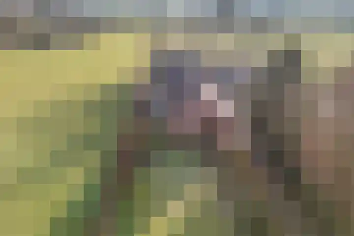 Geerdijk 42 Den Ham thumbnail 51