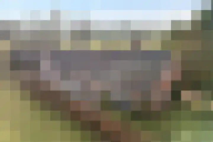 Geerdijk 42 Den Ham thumbnail 52