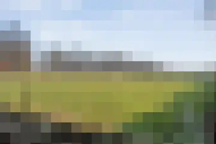 Geerdijk 42 Den Ham thumbnail 53