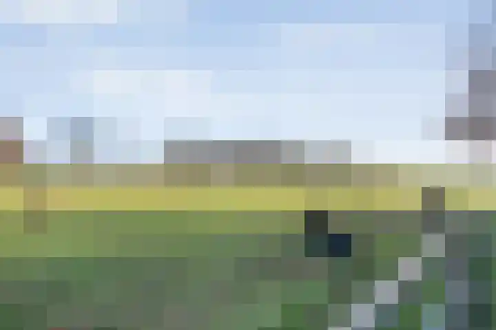 Geerdijk 42 Den Ham thumbnail 55