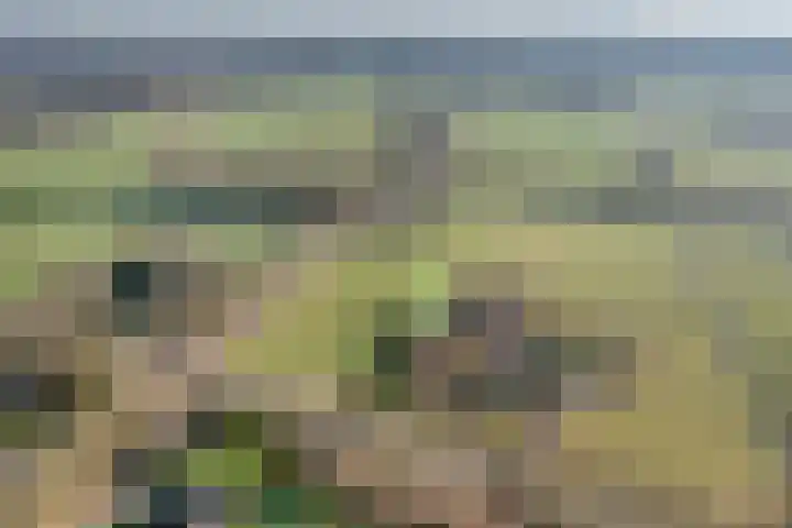 Geerdijk 42 Den Ham thumbnail 6