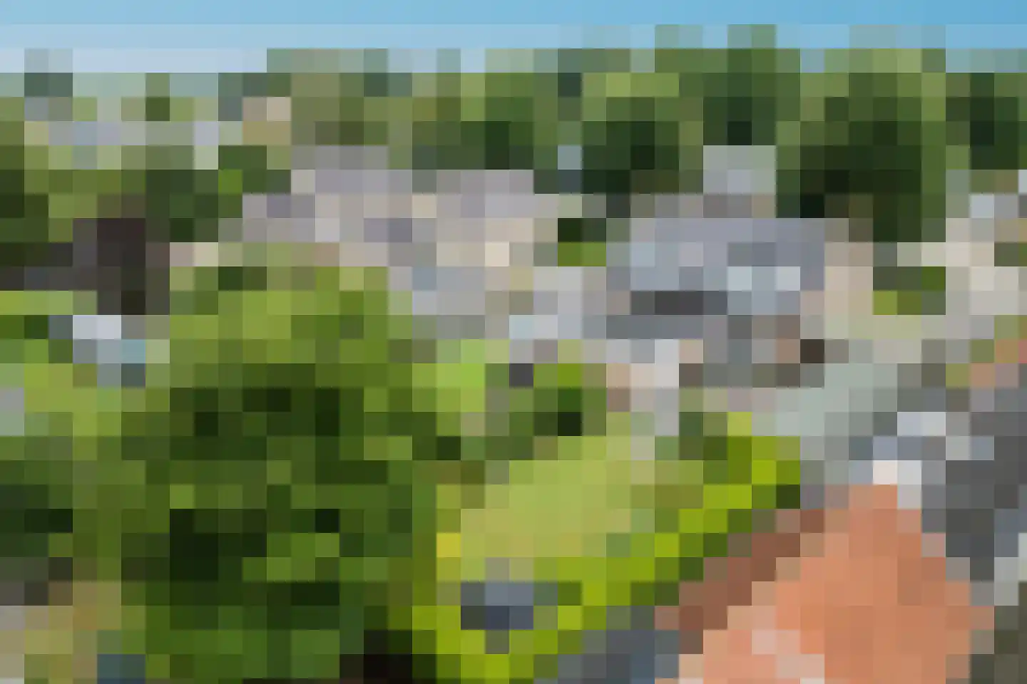 Geerdijk 79 Geerdijk thumbnail 37
