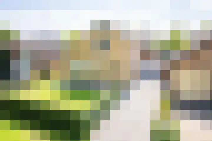 Geerdink-Johanninkweg 15 Megchelen thumbnail 5