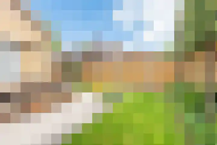 Geerdink-Johanninkweg 15 Megchelen thumbnail 50
