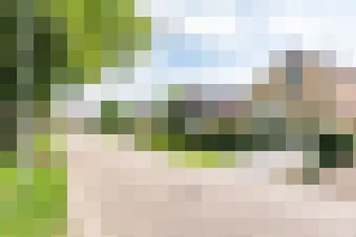 Geerdink-Johanninkweg 15 Megchelen thumbnail 53