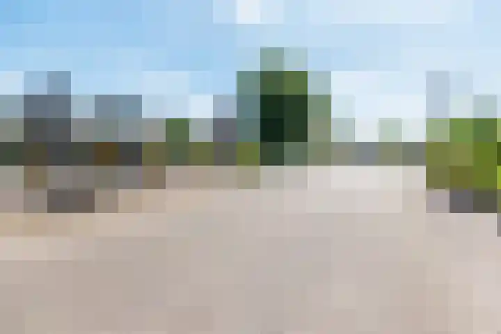 Geerdink-Johanninkweg 15 Megchelen thumbnail 55