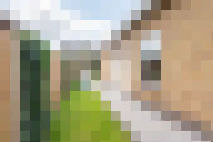 Geerdink-Johanninkweg 15 Megchelen thumbnail 7