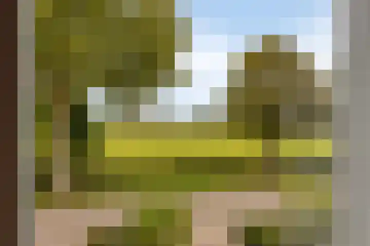 Geerdink-Johanninkweg 19 Megchelen thumbnail 41