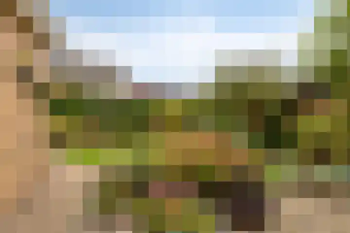 Geerdink-Johanninkweg 19 Megchelen thumbnail 45