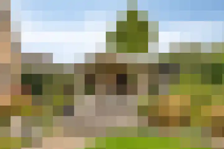 Geerdink-Johanninkweg 19 Megchelen thumbnail 47