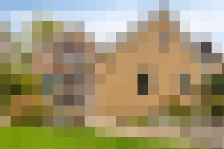Geerdink-Johanninkweg 19 Megchelen thumbnail 50