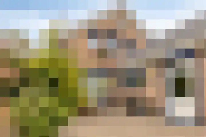 Geerdink-Johanninkweg 19 Megchelen thumbnail 51
