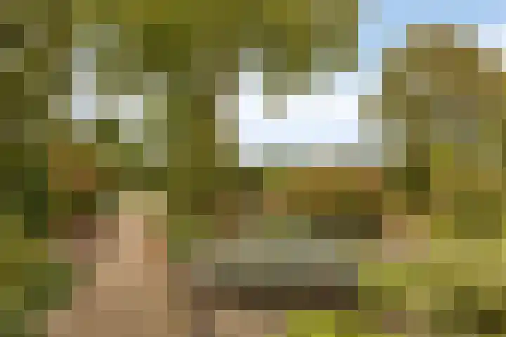 Geerdink-Johanninkweg 19 Megchelen thumbnail 52