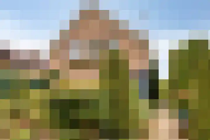 Geerdink-Johanninkweg 19 Megchelen thumbnail 53