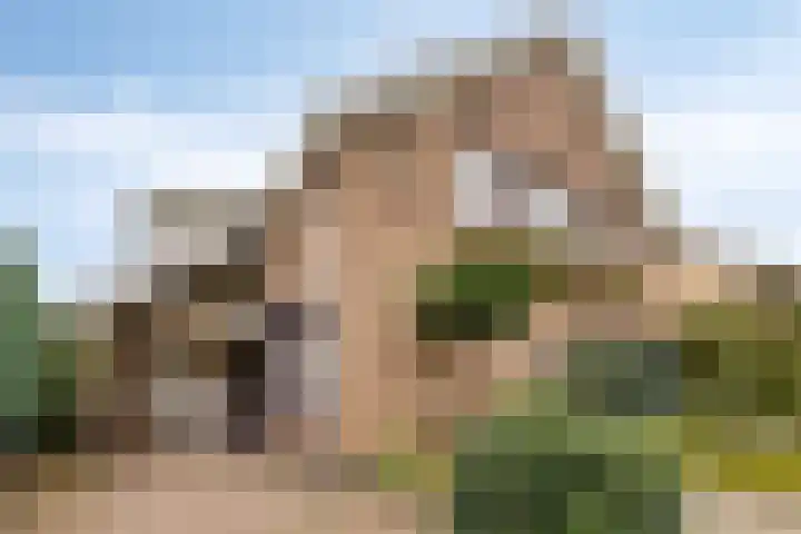 Geerdink-Johanninkweg 19 Megchelen thumbnail 55