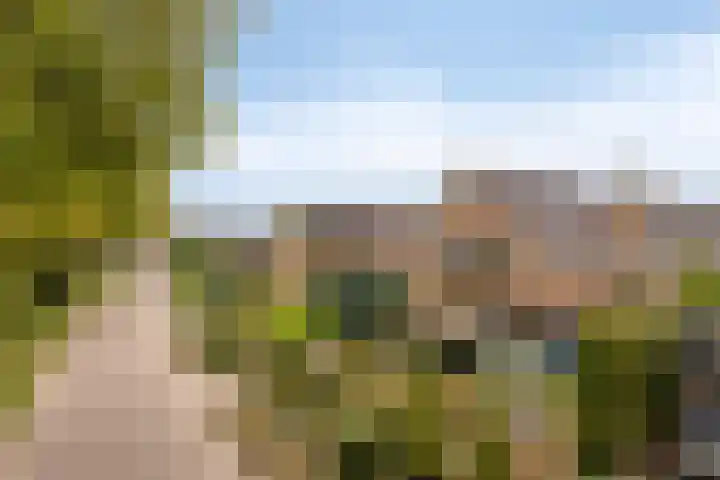Geerdink-Johanninkweg 19 Megchelen thumbnail 56