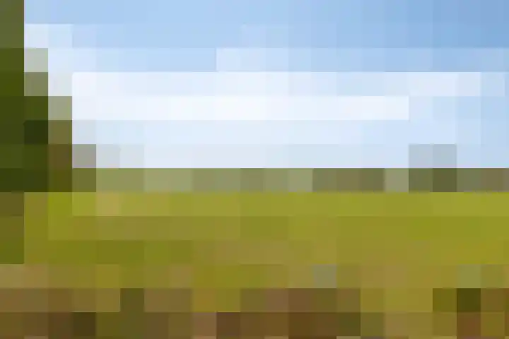 Geerdink-Johanninkweg 19 Megchelen thumbnail 57