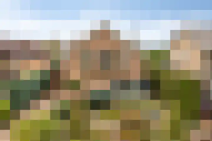 Geerdink-Johanninkweg 19 Megchelen thumbnail 6