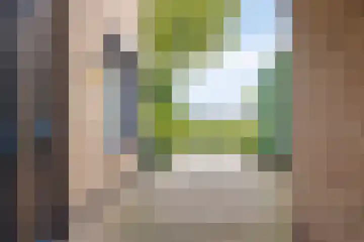Geerdink-Johanninkweg 19 Megchelen thumbnail 7