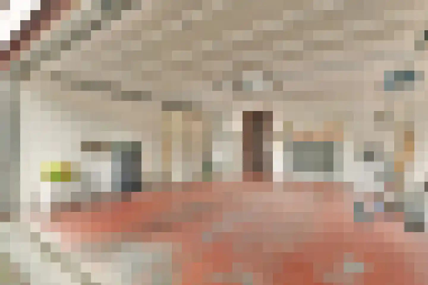 Geerdinkhof 176 Amsterdam thumbnail 27