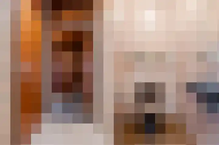 Geerdinkhof 204 Amsterdam thumbnail 11